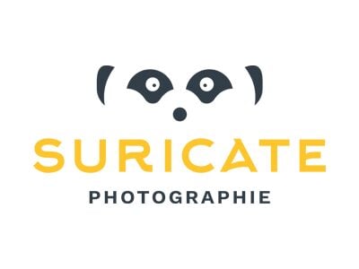 Logo Suricate
